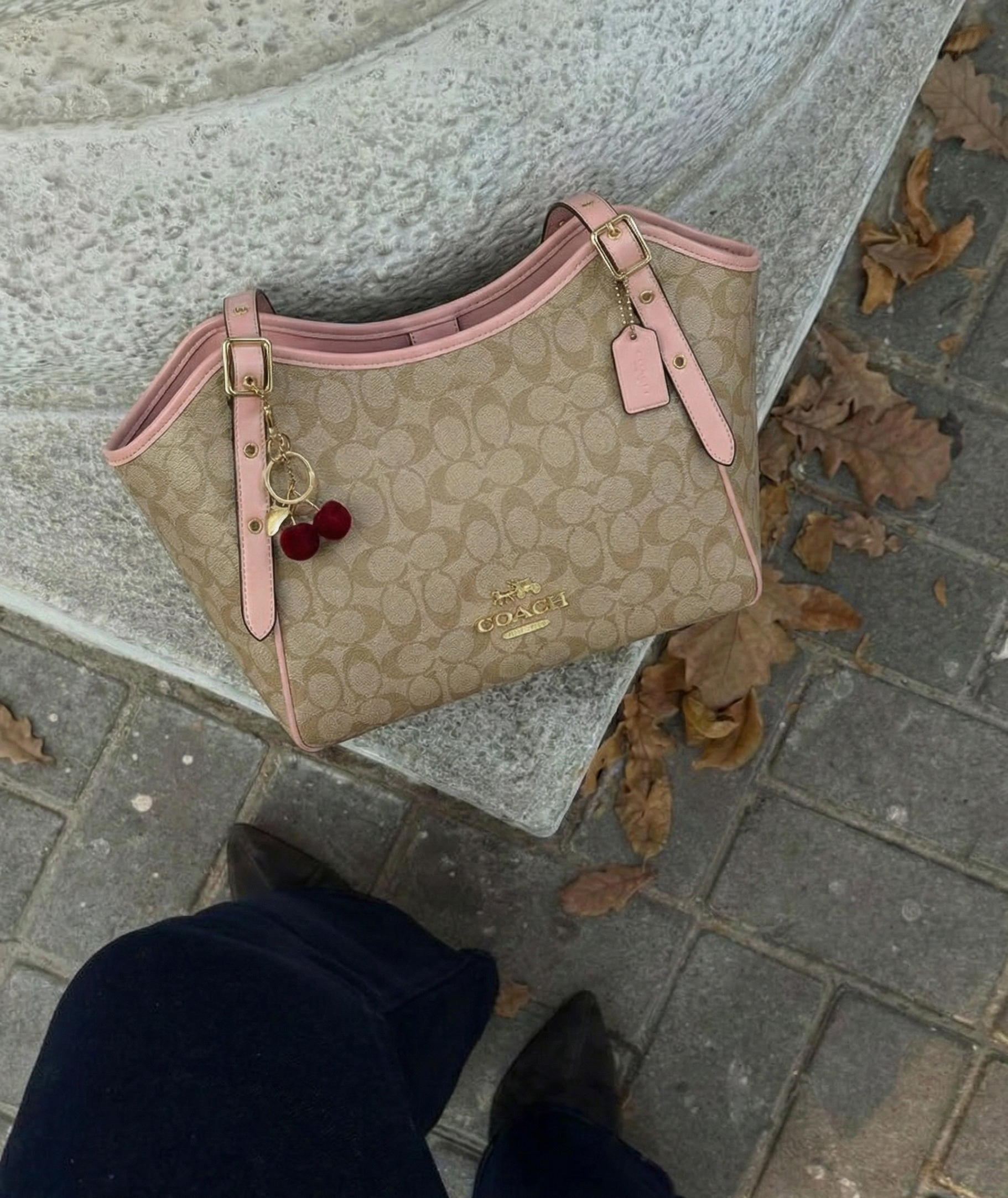 Bolso Cherry Rose. Jocaposso.com